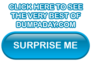 Sidebar surprise me button